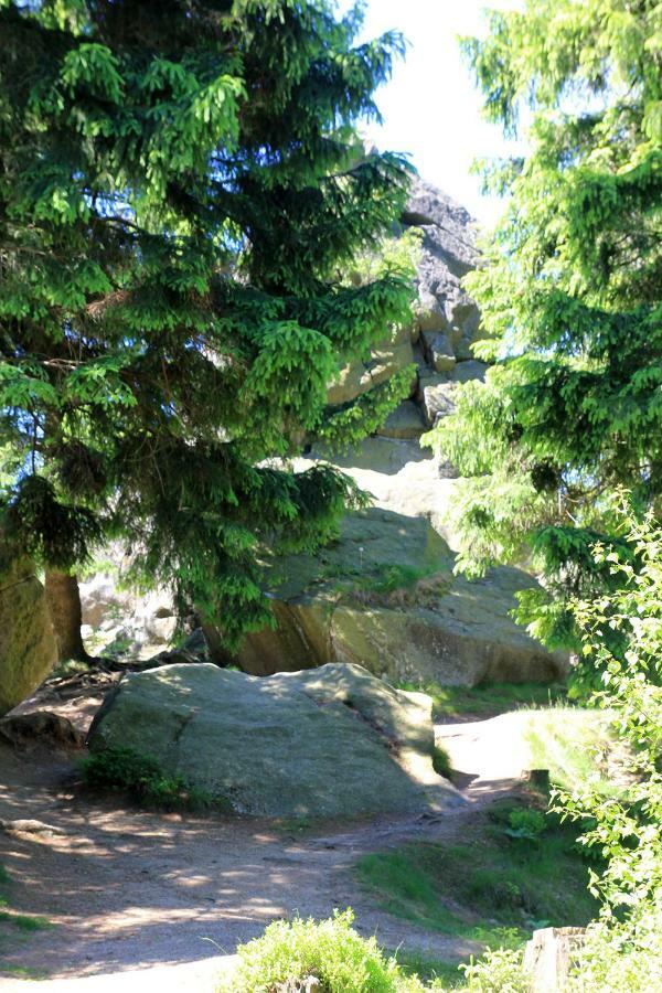 Appartamento An Der Bremke Herzberg am Harz Esterno foto