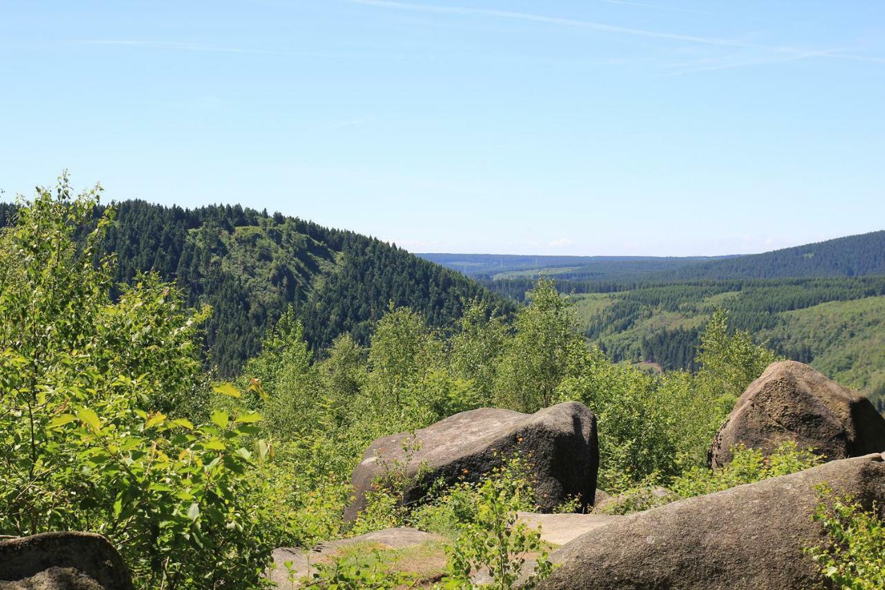 Appartamento An Der Bremke Herzberg am Harz Esterno foto
